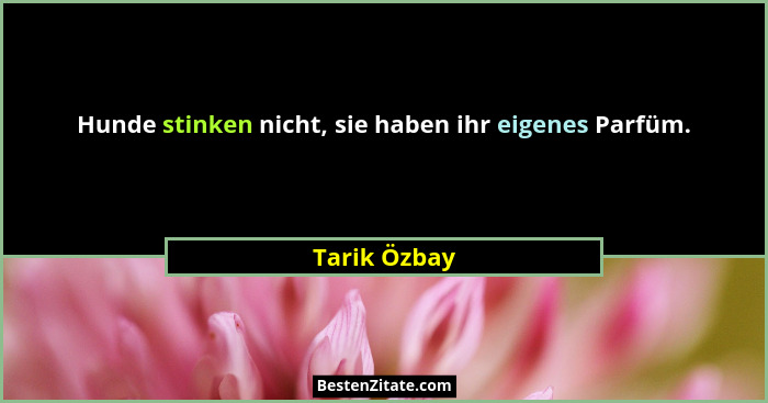 Hunde stinken nicht, sie haben ihr eigenes Parfüm.... - Tarik Özbay