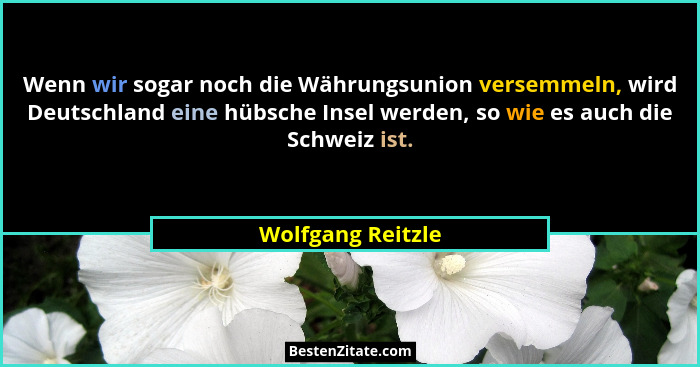 Wenn wir sogar noch die Währungsunion versemmeln, wird Deutschland eine hübsche Insel werden, so wie es auch die Schweiz ist.... - Wolfgang Reitzle