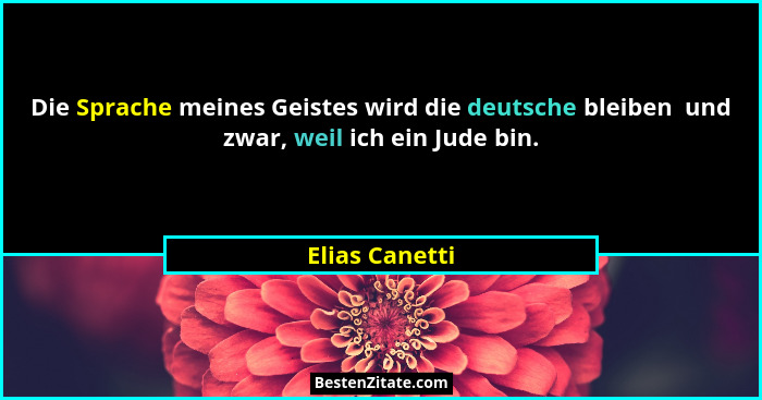 Die Sprache meines Geistes wird die deutsche bleiben  und zwar, weil ich ein Jude bin.... - Elias Canetti