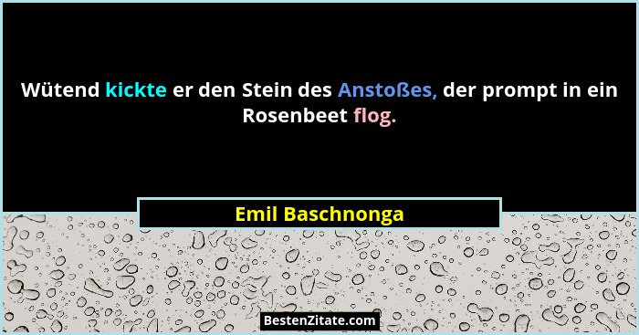 Wütend kickte er den Stein des Anstoßes, der prompt in ein Rosenbeet flog.... - Emil Baschnonga