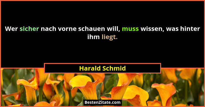 Wer sicher nach vorne schauen will, muss wissen, was hinter ihm liegt.... - Harald Schmid