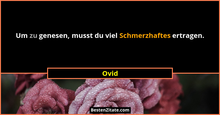 Um zu genesen, musst du viel Schmerzhaftes ertragen.... - Ovid
