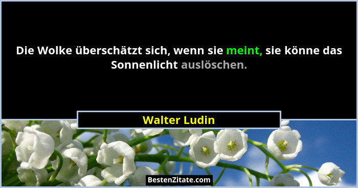 Die Wolke überschätzt sich, wenn sie meint, sie könne das Sonnenlicht auslöschen.... - Walter Ludin