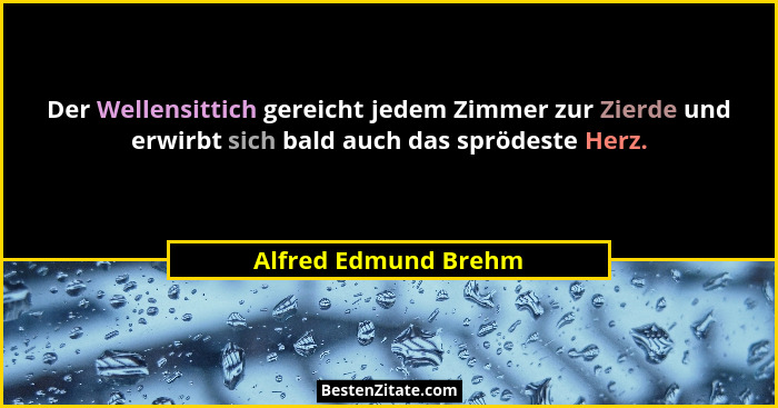 Der Wellensittich gereicht jedem Zimmer zur Zierde und erwirbt sich bald auch das sprödeste Herz.... - Alfred Edmund Brehm