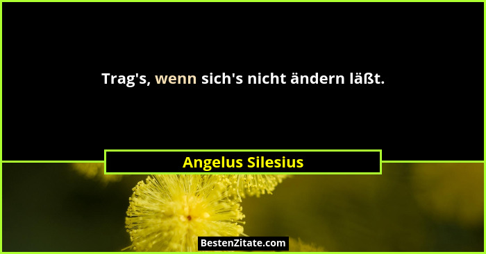 Trag's, wenn sich's nicht ändern läßt.... - Angelus Silesius