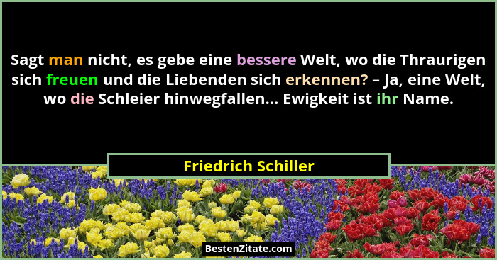 Sagt man nicht, es gebe eine bessere Welt, wo die Thraurigen sich freuen und die Liebenden sich erkennen? – Ja, eine Welt, wo die... - Friedrich Schiller