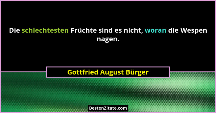 Die schlechtesten Früchte sind es nicht, woran die Wespen nagen.... - Gottfried August Bürger
