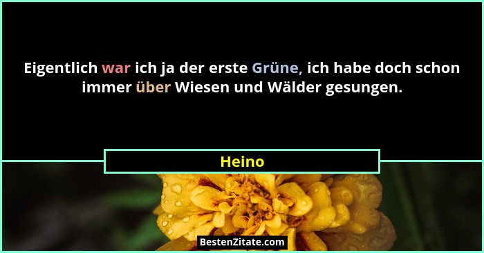 Eigentlich war ich ja der erste Grüne, ich habe doch schon immer über Wiesen und Wälder gesungen.... - Heino