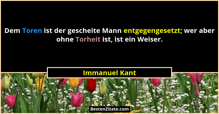 Dem Toren ist der gescheite Mann entgegengesetzt; wer aber ohne Torheit ist, ist ein Weiser.... - Immanuel Kant