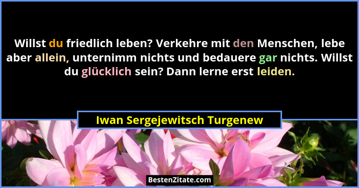 Willst du friedlich leben? Verkehre mit den Menschen, lebe aber allein, unternimm nichts und bedauere gar nichts. Willst... - Iwan Sergejewitsch Turgenew