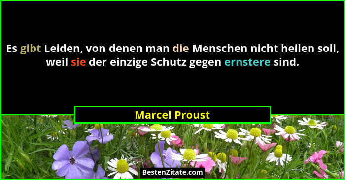 Es gibt Leiden, von denen man die Menschen nicht heilen soll, weil sie der einzige Schutz gegen ernstere sind.... - Marcel Proust
