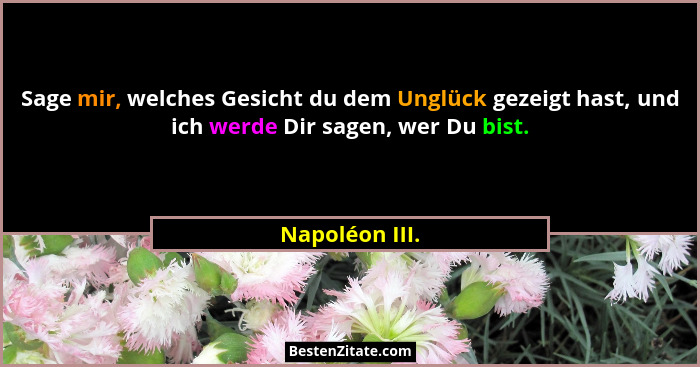 Sage mir, welches Gesicht du dem Unglück gezeigt hast, und ich werde Dir sagen, wer Du bist.... - Napoléon III.