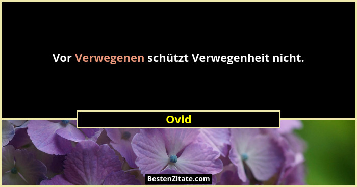 Vor Verwegenen schützt Verwegenheit nicht.... - Ovid