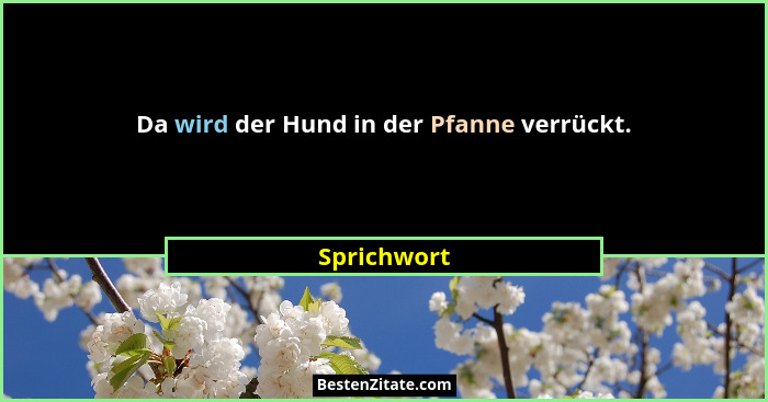 Da wird der Hund in der Pfanne verrückt.... - Sprichwort