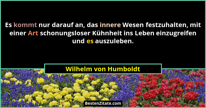 Es kommt nur darauf an, das innere Wesen festzuhalten, mit einer Art schonungsloser Kühnheit ins Leben einzugreifen und es ausz... - Wilhelm von Humboldt