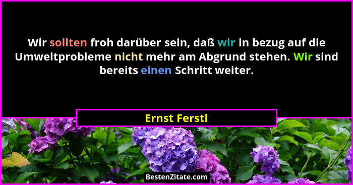 Wir sollten froh darüber sein, daß wir in bezug auf die Umweltprobleme nicht mehr am Abgrund stehen. Wir sind bereits einen Schritt wei... - Ernst Ferstl