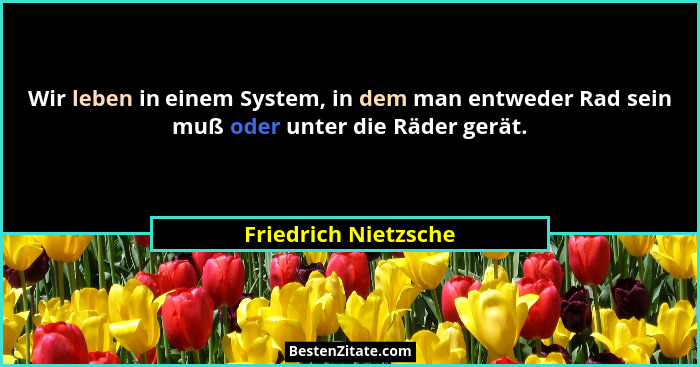 Wir leben in einem System, in dem man entweder Rad sein muß oder unter die Räder gerät.... - Friedrich Nietzsche