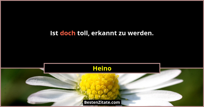 Ist doch toll, erkannt zu werden.... - Heino