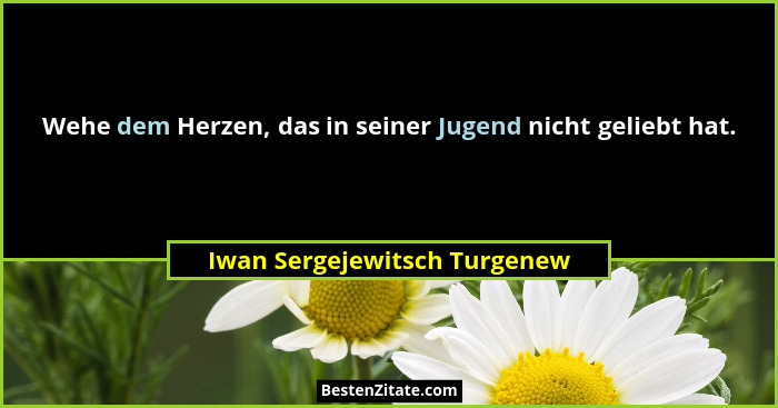 Wehe dem Herzen, das in seiner Jugend nicht geliebt hat.... - Iwan Sergejewitsch Turgenew