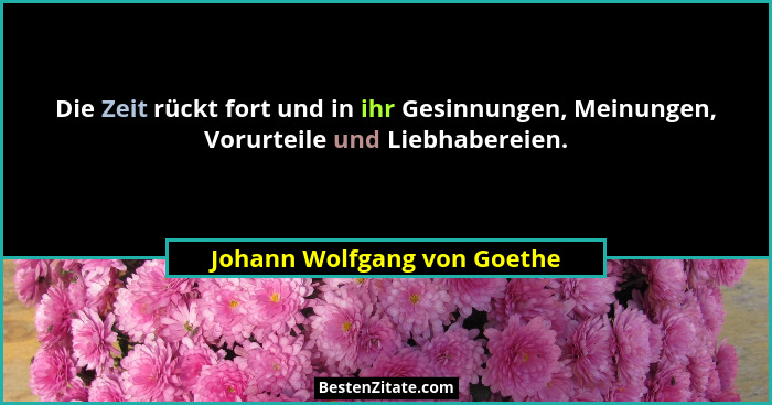 Die Zeit rückt fort und in ihr Gesinnungen, Meinungen, Vorurteile und Liebhabereien.... - Johann Wolfgang von Goethe