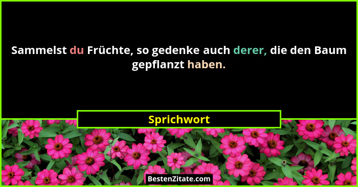 Sammelst du Früchte, so gedenke auch derer, die den Baum gepflanzt haben.... - Sprichwort