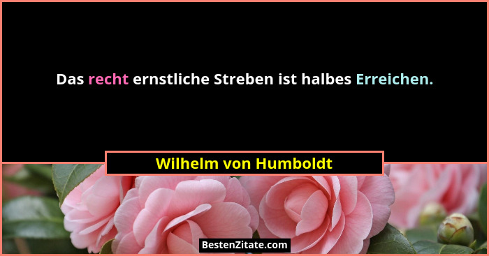 Das recht ernstliche Streben ist halbes Erreichen.... - Wilhelm von Humboldt
