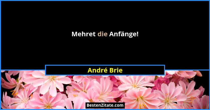 Mehret die Anfänge!... - André Brie