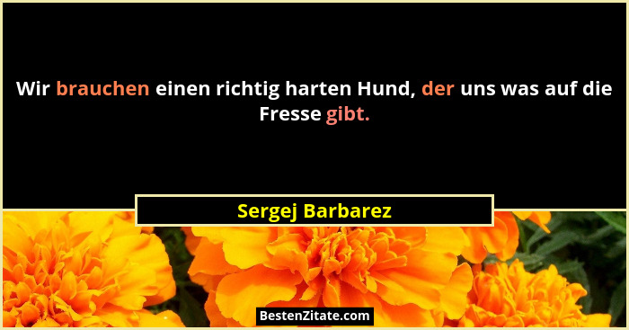 Wir brauchen einen richtig harten Hund, der uns was auf die Fresse gibt.... - Sergej Barbarez