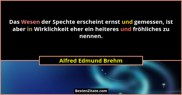 Das Wesen der Spechte erscheint ernst und gemessen, ist aber in Wirklichkeit eher ein heiteres und fröhliches zu nennen.... - Alfred Edmund Brehm