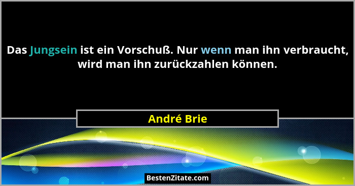 Das Jungsein ist ein Vorschuß. Nur wenn man ihn verbraucht, wird man ihn zurückzahlen können.... - André Brie
