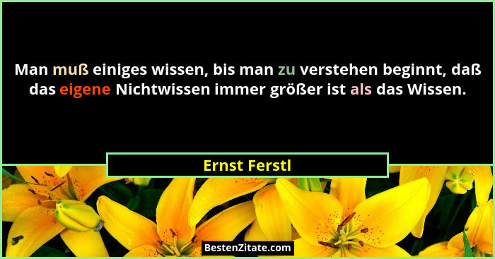 Man muß einiges wissen, bis man zu verstehen beginnt, daß das eigene Nichtwissen immer größer ist als das Wissen.... - Ernst Ferstl