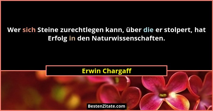 Wer sich Steine zurechtlegen kann, über die er stolpert, hat Erfolg in den Naturwissenschaften.... - Erwin Chargaff