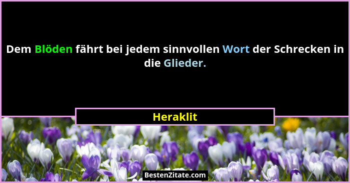 Dem Blöden fährt bei jedem sinnvollen Wort der Schrecken in die Glieder.... - Heraklit