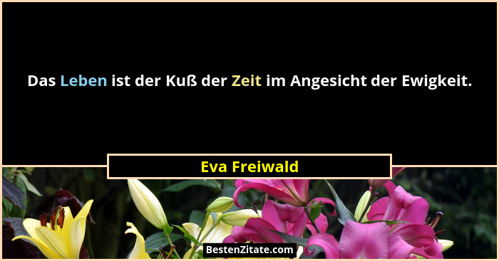 Das Leben ist der Kuß der Zeit im Angesicht der Ewigkeit.... - Eva Freiwald
