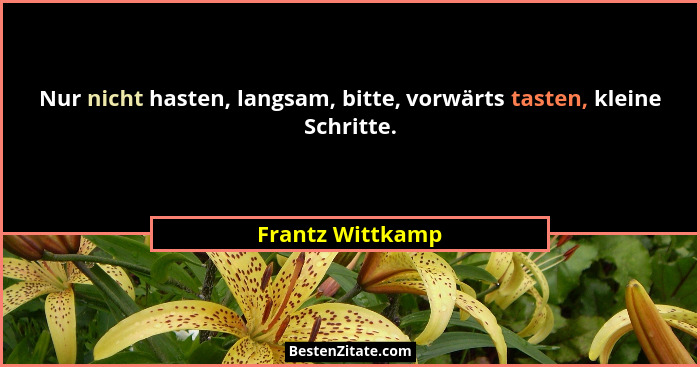 Nur nicht hasten, langsam, bitte, vorwärts tasten, kleine Schritte.... - Frantz Wittkamp