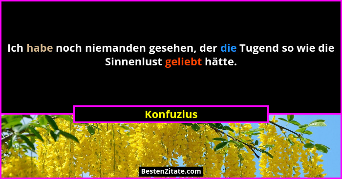 Ich habe noch niemanden gesehen, der die Tugend so wie die Sinnenlust geliebt hätte.... - Konfuzius