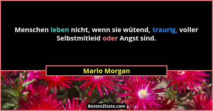Menschen leben nicht, wenn sie wütend, traurig, voller Selbstmitleid oder Angst sind.... - Marlo Morgan