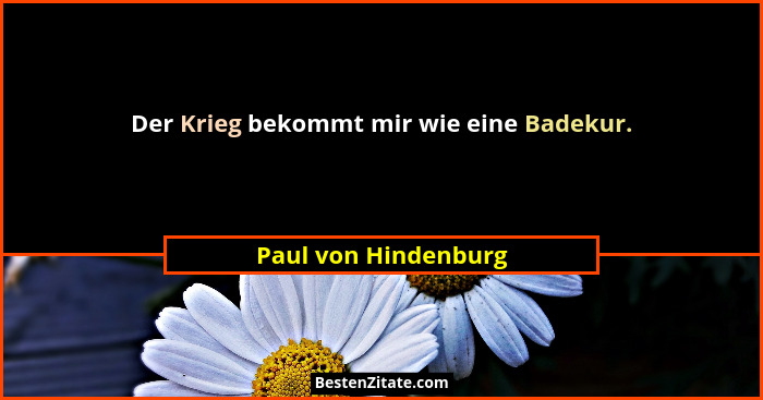 Der Krieg bekommt mir wie eine Badekur.... - Paul von Hindenburg