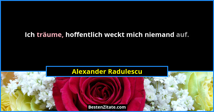 Ich träume, hoffentlich weckt mich niemand auf.... - Alexander Radulescu