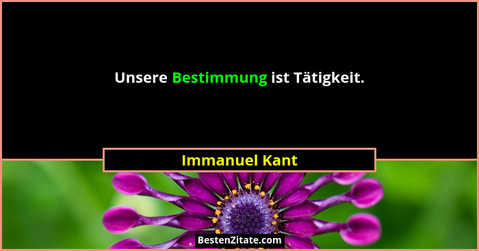Unsere Bestimmung ist Tätigkeit.... - Immanuel Kant