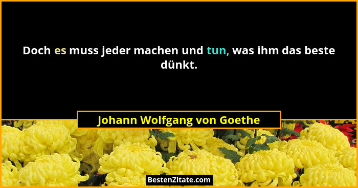 Doch es muss jeder machen und tun, was ihm das beste dünkt.... - Johann Wolfgang von Goethe