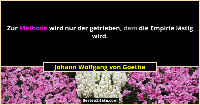 Zur Methode wird nur der getrieben, dem die Empirie lästig wird.... - Johann Wolfgang von Goethe