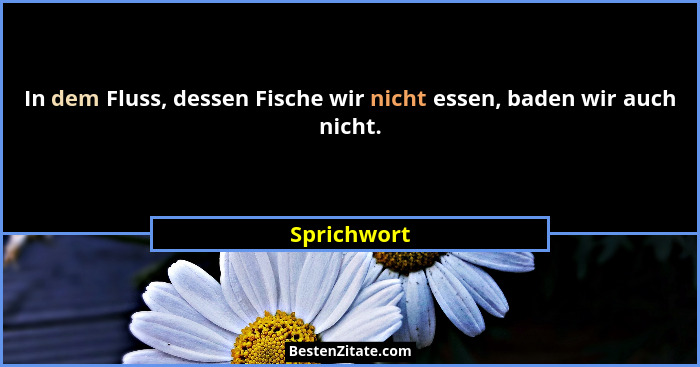 In dem Fluss, dessen Fische wir nicht essen, baden wir auch nicht.... - Sprichwort