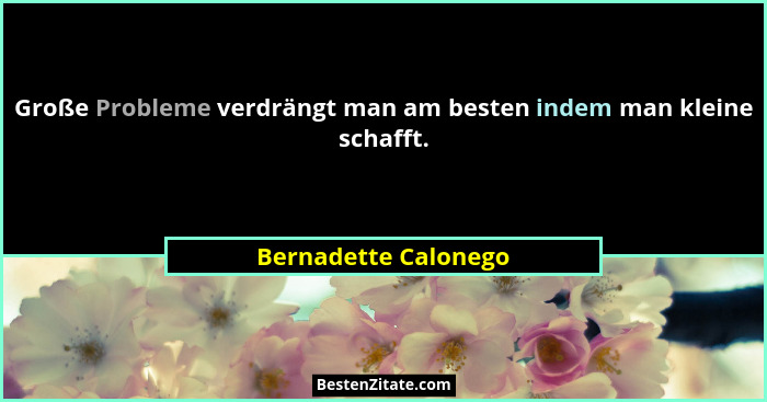 Große Probleme verdrängt man am besten indem man kleine schafft.... - Bernadette Calonego