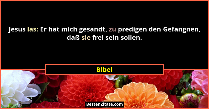 Jesus las: Er hat mich gesandt, zu predigen den Gefangnen, daß sie frei sein sollen.... - Bibel