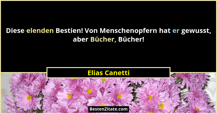 Diese elenden Bestien! Von Menschenopfern hat er gewusst, aber Bücher, Bücher!... - Elias Canetti