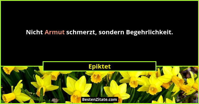 Nicht Armut schmerzt, sondern Begehrlichkeit.... - Epiktet