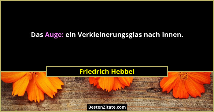 Das Auge: ein Verkleinerungsglas nach innen.... - Friedrich Hebbel
