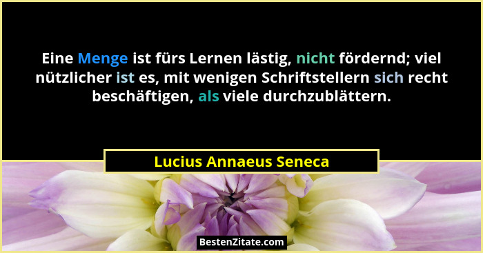 Eine Menge ist fürs Lernen lästig, nicht fördernd; viel nützlicher ist es, mit wenigen Schriftstellern sich recht beschäftigen... - Lucius Annaeus Seneca
