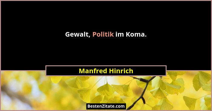 Gewalt, Politik im Koma.... - Manfred Hinrich